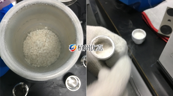 宋慈全自動快速研磨儀研磨酵母實(shí)驗(yàn)案例